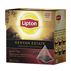 Kenyan Estate